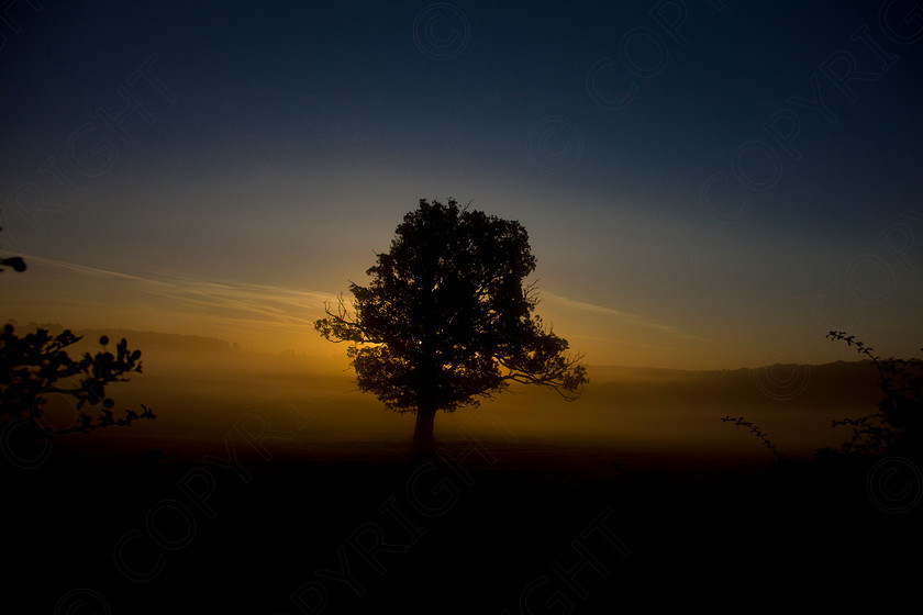 Oak Tree Wakes End006 
 Keywords: Visual Impact Andrew Garner