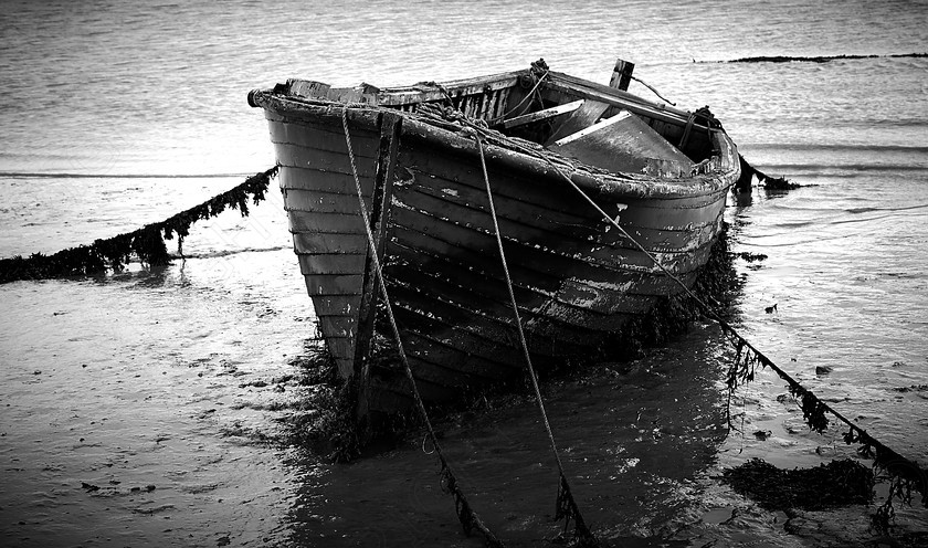 River Boats 023 
 River Boats East of Englen 
 Keywords: River, Boats, Broken Boats, Derelect Boats, Art images of Boats