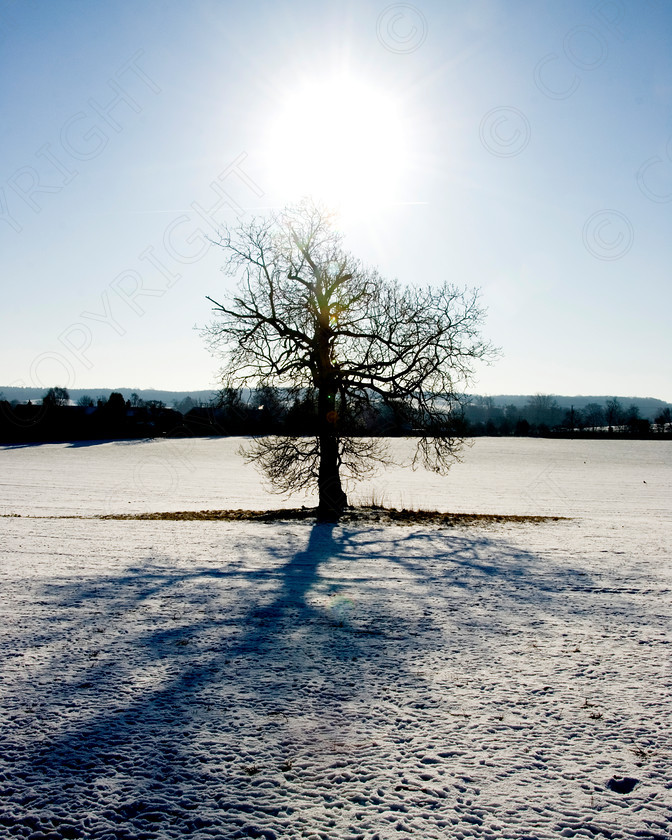 Winter Scenes 021 
 winter scene 
 Keywords: wiinter, cold, country, snow, ice