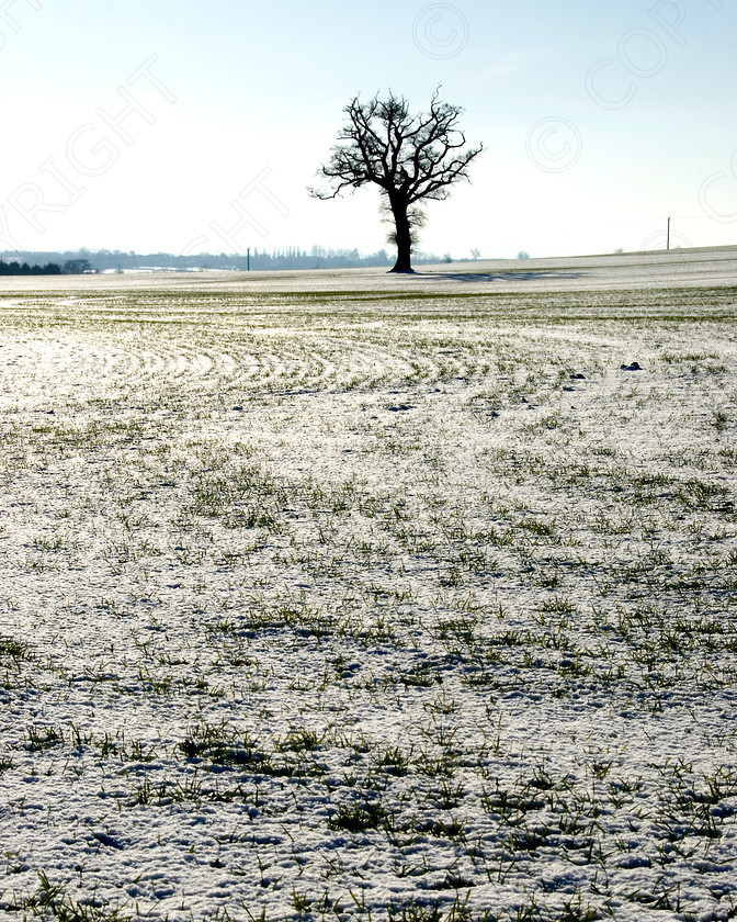 Winter Scenes 063 
 winter scene 
 Keywords: wiinter, cold, country, snow, ice