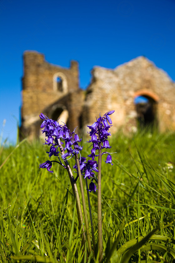 Clophill Old Church 029 
 Keywords: Visual Impact Andrew Garner