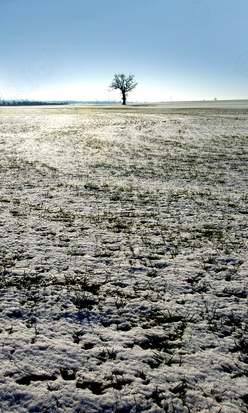 Winter Scenes 064 
 winter scene 
 Keywords: wiinter, cold, country, snow, ice