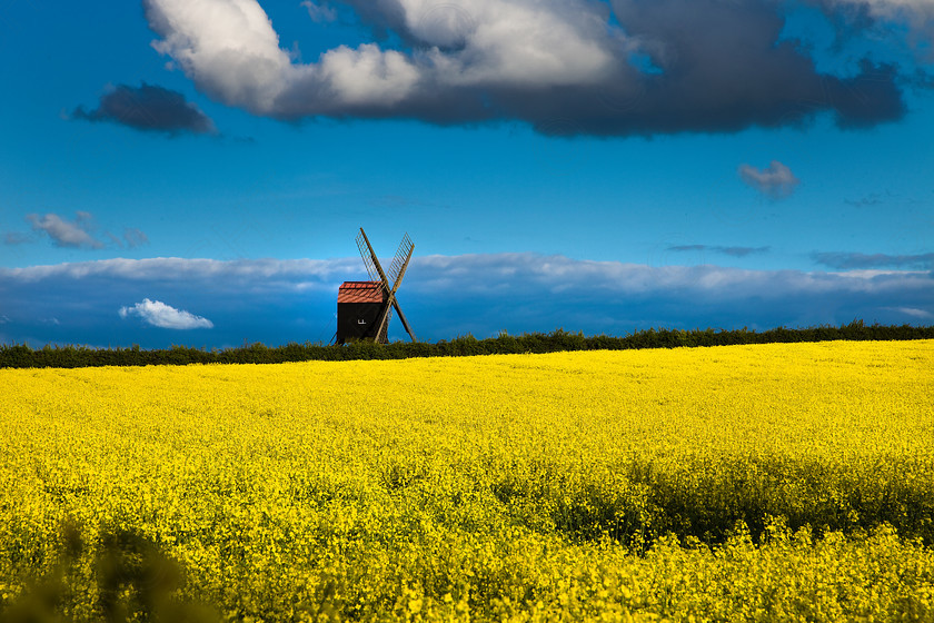 Stevington Windmill 035 
 Windmill 
 Keywords: Windmill, , countryside, landscape