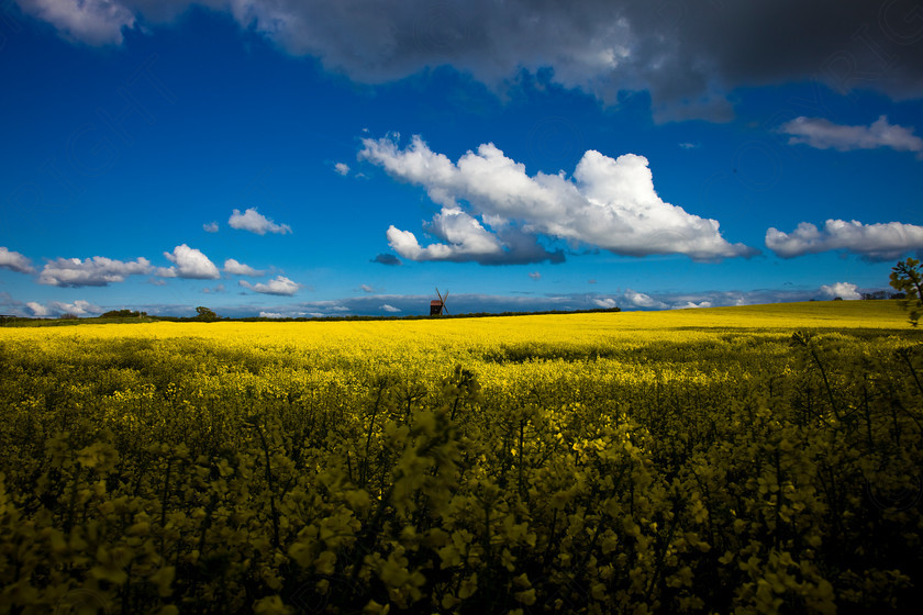 Stevington Windmill 036 
 Windmill 
 Keywords: Windmill, , countryside, landscape