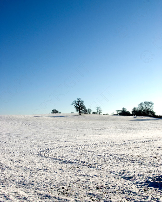 Winter Scenes 034 
 winter scene 
 Keywords: wiinter, cold, country, snow, ice