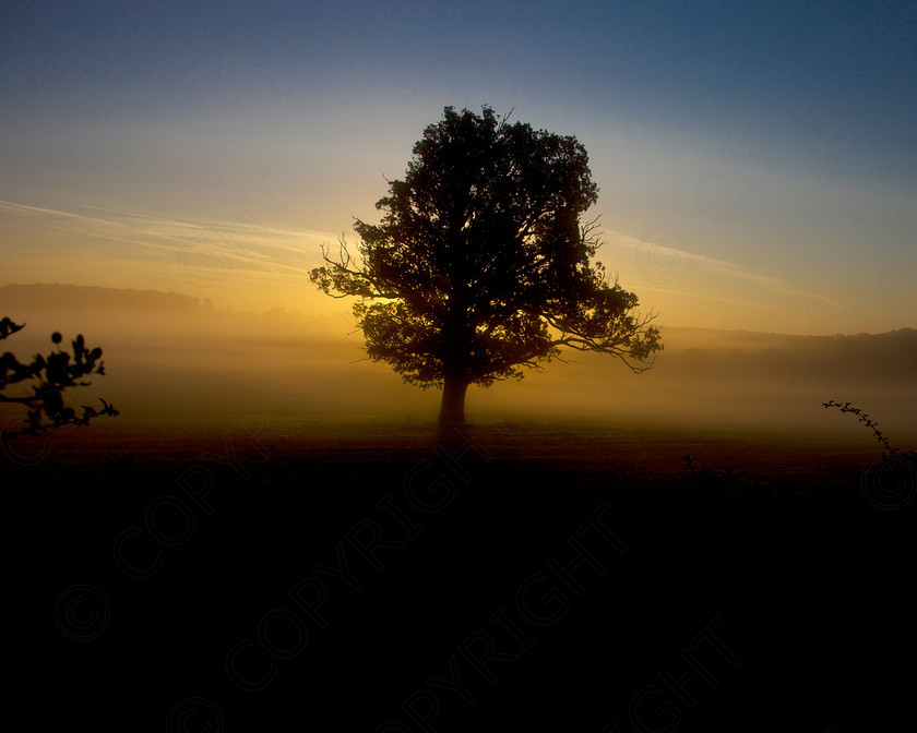 Oak Tree Wakes End007 
 Keywords: Visual Impact Andrew Garner