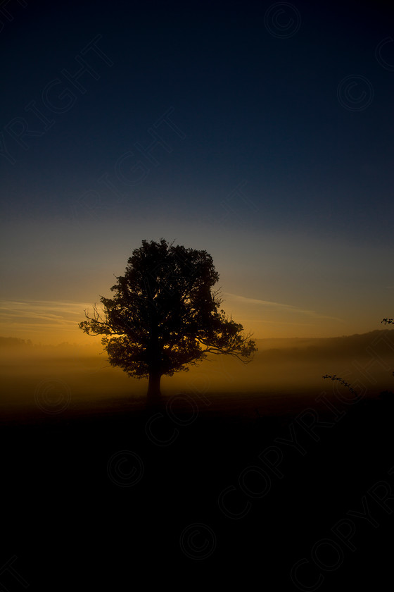 Oak Tree Wakes End008 
 Keywords: Visual Impact Andrew Garner