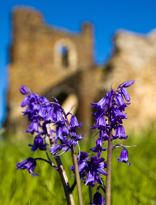 Clophill Old Church 028 
 Keywords: Visual Impact Andrew Garner