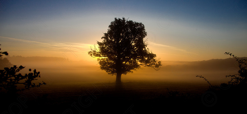 Oak Tree Wakes End005 
 Keywords: Visual Impact Andrew Garner