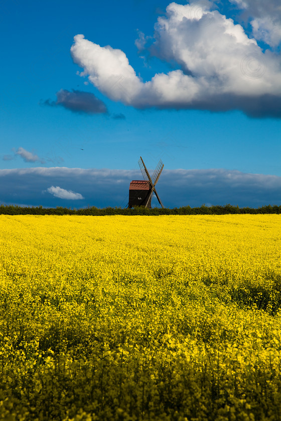 Stevington Windmill 040 
 Stevington Windmill in Evening 
 Keywords: Windmill, rape, countryside, landscape, Sky, fields, stevington, visual impact, andrew garner