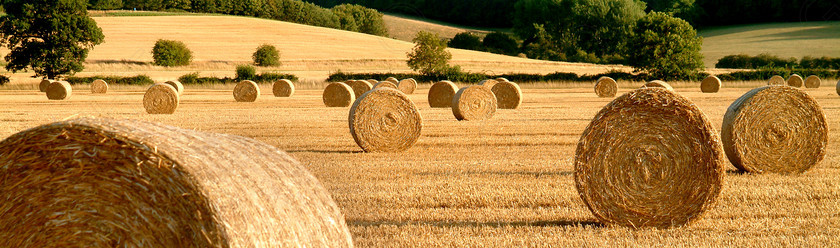 Hay 2 
 Keywords: countryside, scene, hay