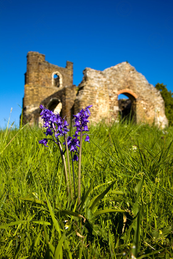 Clophill Old Church 024 
 Keywords: Visual Impact Andrew Garner