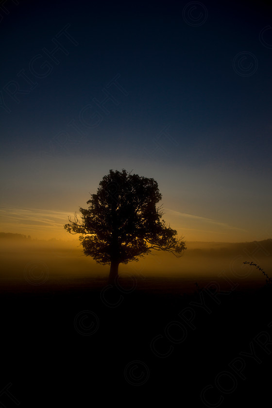 Oak Tree Wakes End011 
 Keywords: Visual Impact Andrew Garner