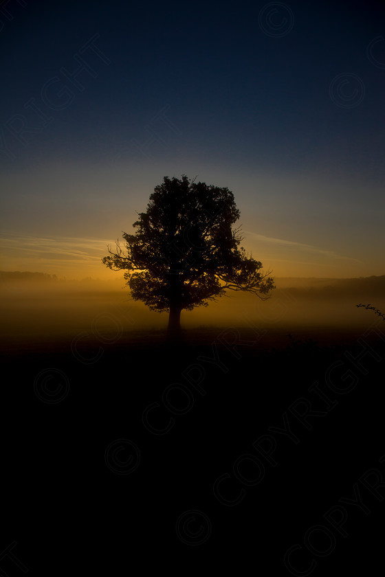 Oak Tree Wakes End010 
 Keywords: Visual Impact Andrew Garner