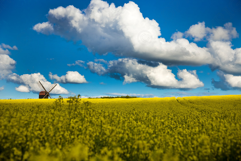 Stevington Windmill 022 
 Stevington Windmill in Evening 
 Keywords: Windmill, rape, countryside, landscape, Sky, fields, stevington, visual impact, andrew garner