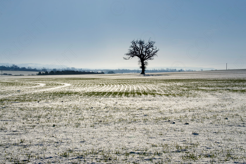 Winter Scenes 066 
 winter scene 
 Keywords: wiinter, cold, country, snow, ice